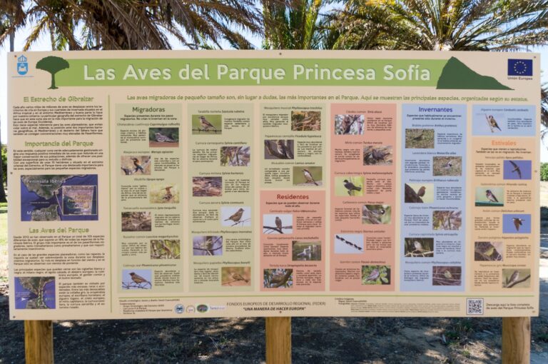 Lee más sobre el artículo AULA DE NATURALEZA – Voluntarios en la recuperación del Parque Princesa Sofía de La Línea